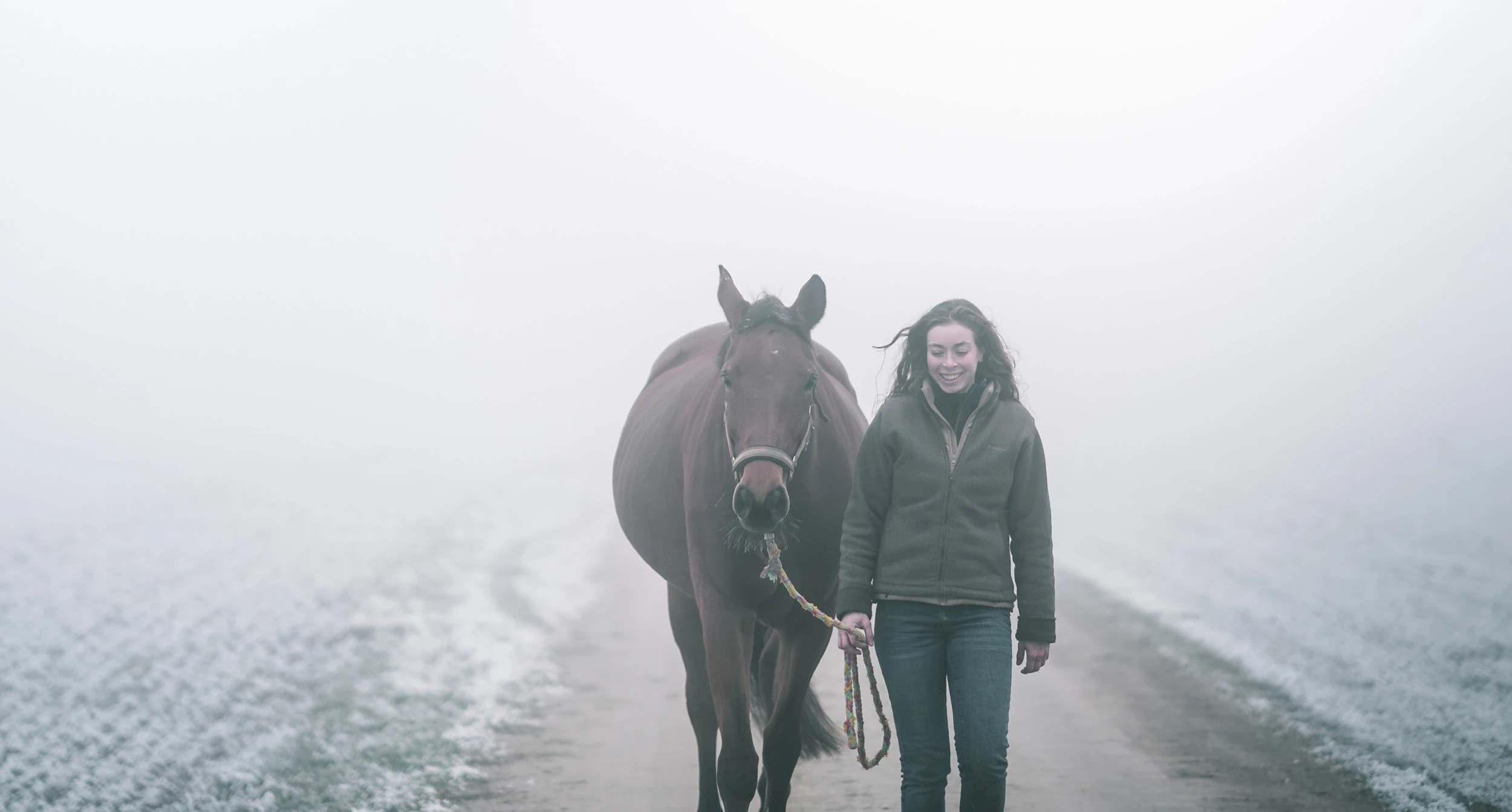 ganzheitliche, mobile tiermedizin